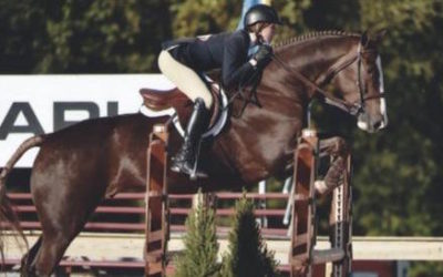 Attention Junior Equitation Riders! Don’t miss your chance to win the 2019 Shelby Drazan Memorial Award – enter in August!