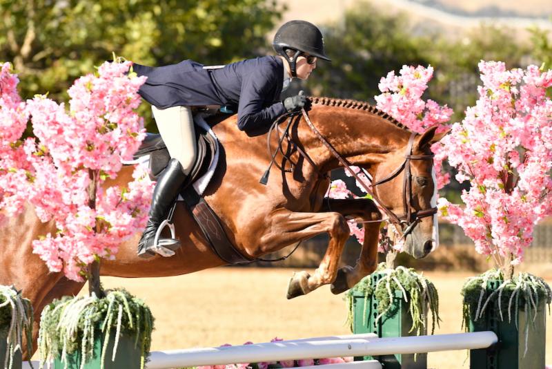 Attention Emerging Professionals – Apply Now to Receive Up to $5,000 in Blenheim Show Credit! Application deadline: Monday, February 18, 2019