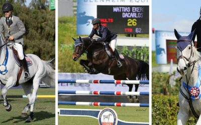 DAY TWO: FEI CSI3* Gold, Silver, and Bronze Tours – Cook, Ekeroth, and Fellers Conquer