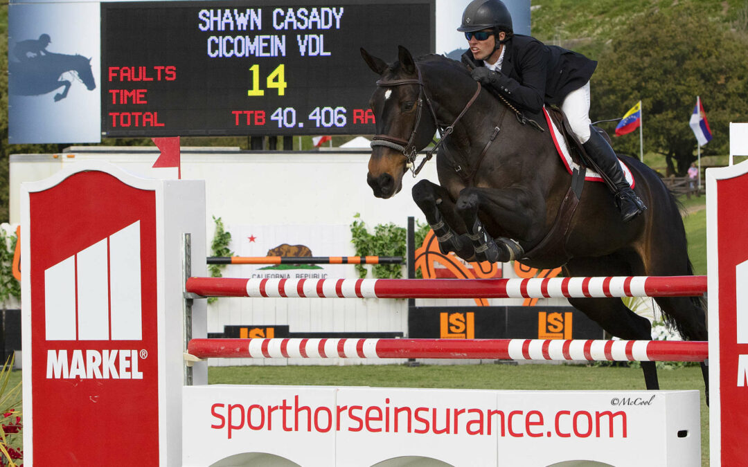 Shawn Casady And Cicomein VDL Hit The Daily Double