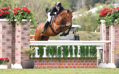 Patience Pays Off For Sailor At Blenheim Spring Classic III