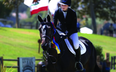 A Talent Search Tale: An Important Step in the Show Jumping Pathway