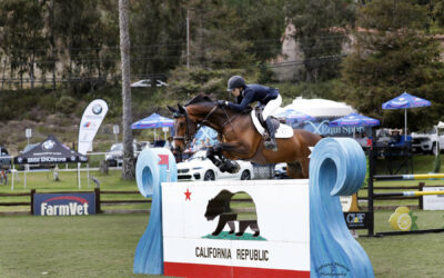 Keri Potter And Jiminy Cricket Claim Their First Grand Prix Win In The FEI CSI2*