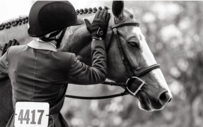 If The Difference Is In The Details, Should Equitation Riders Be Allowed To See Their Scorecard?