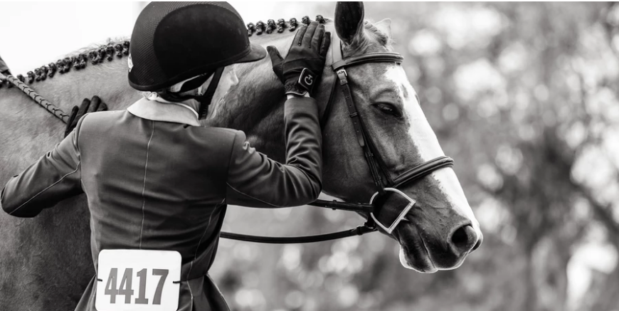 If The Difference Is In The Details, Should Equitation Riders Be Allowed To See Their Scorecard?