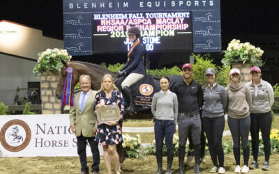 Julia Stone and Let’s Go Rise to the Top of the 2019 NHSAA/ASPCA Maclay Regional Championships – Region 8