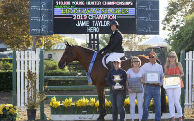 Hail Hero! Champion Of The Blenheim EquiSports Young Hunter Championships, Presented By Brookway Stables