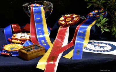 Updated Schedule – Las Vegas National Horse Show