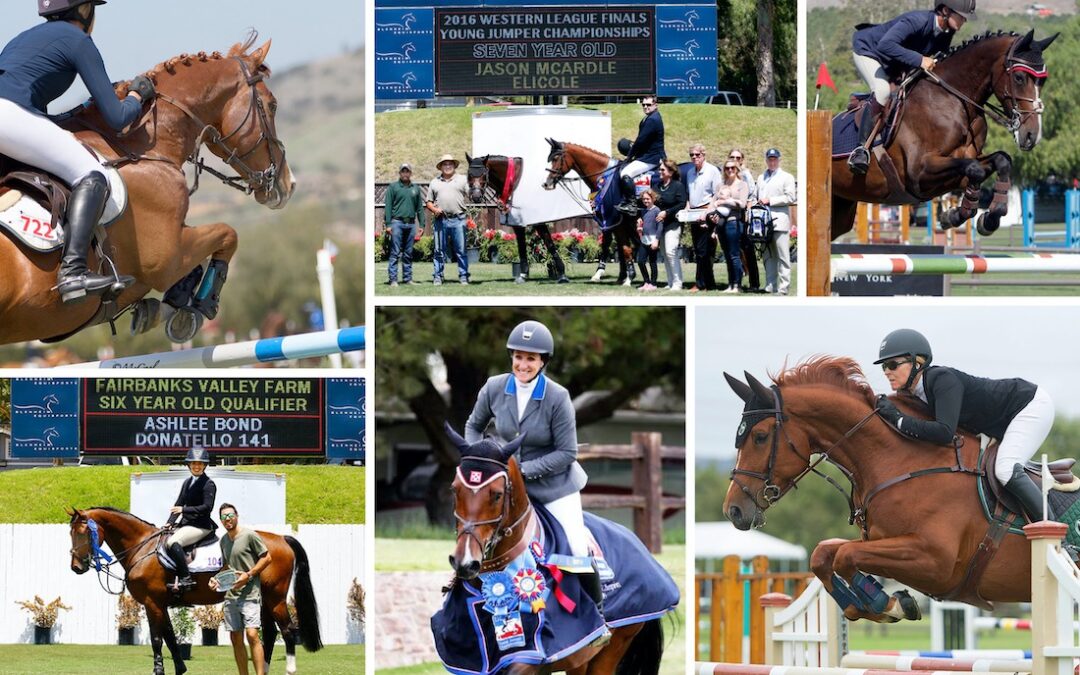 Blenheim EquiSports West Coast Young Jumper Series returns in 2020 with more money and more opportunities to compete for FREE!