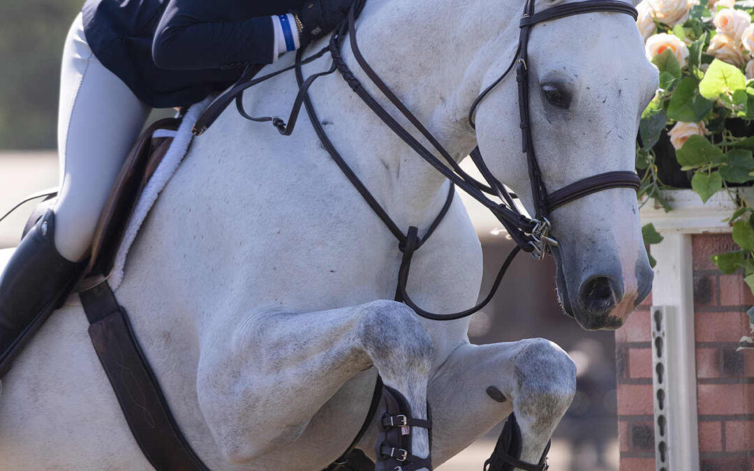 CPHA Medal Finals Results