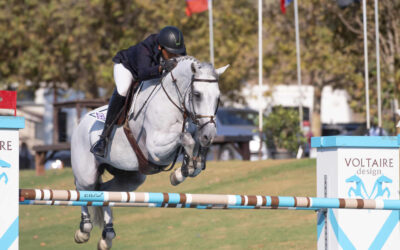 Blenheim Fall Series Starts Wednesday – What You need To Know