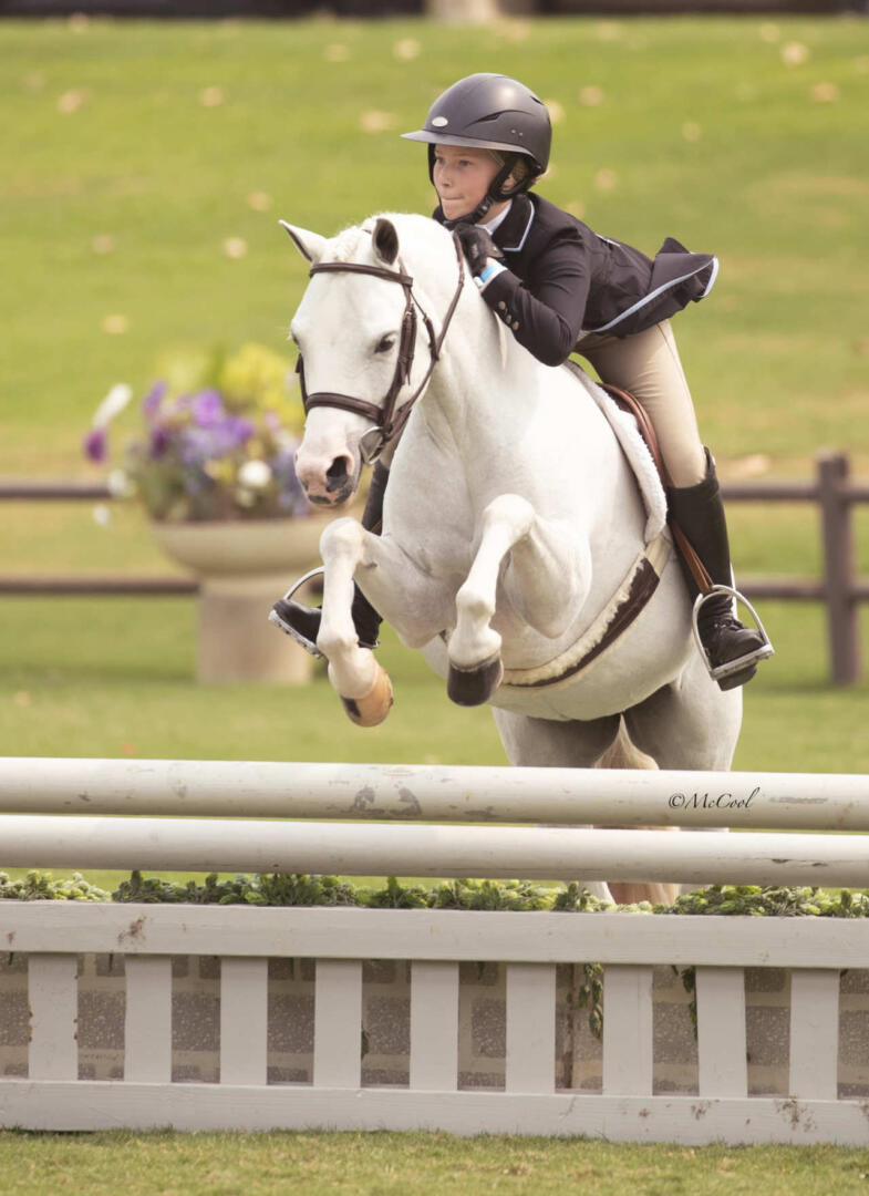 Shiloh Roseboom and Enchantment Farms LLC’s HEAVENLY PATCH OF BLUE