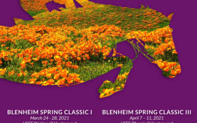 Robert’s December Update & 2021 Blenheim Spring Prize List