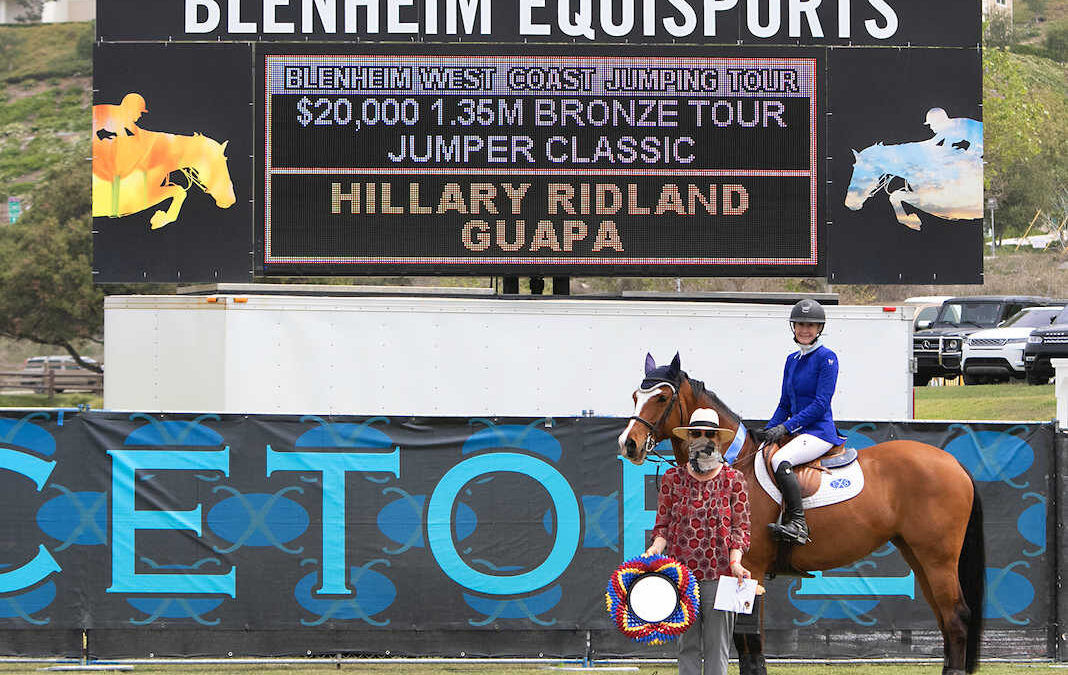 Bronze Tour Brilliance During Blenheim Spring Classic III