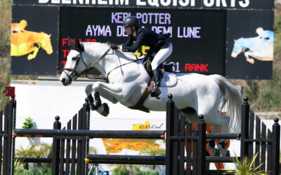 Bronze Tour Debuts During Blenheim Spring Classic II