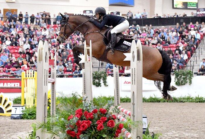 Jumping horse Las Vegas