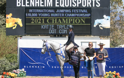 Katie Taylor and Dot Com Crowned Champions in $10,000 Blenheim EquiSports Young Hunter Finale