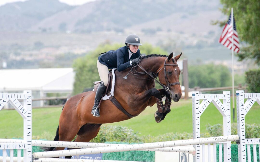 Plan Your Equitation Showcation at Blenheim EquiSports