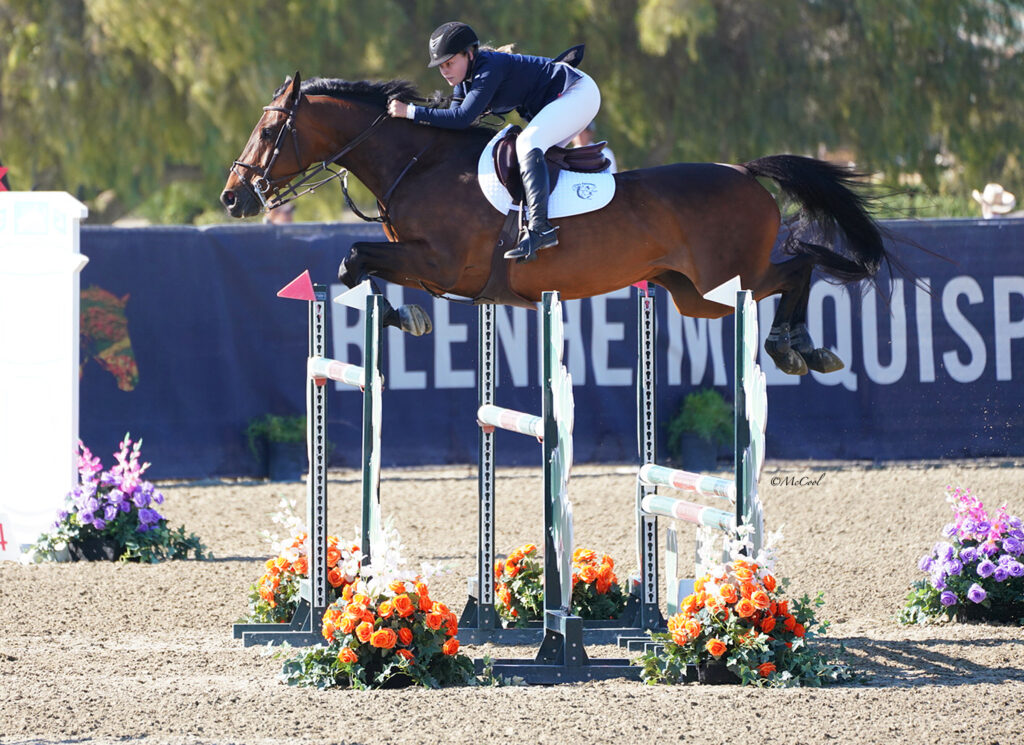 Hannah Loly Leaps to Victory in $25,000 Blenheim June Classic II Grand ...