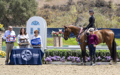 Daphne Shiebler Shines in PCHA Junior/Amateur Horsemanship 2’9” Finals at Blenheim EquiSports