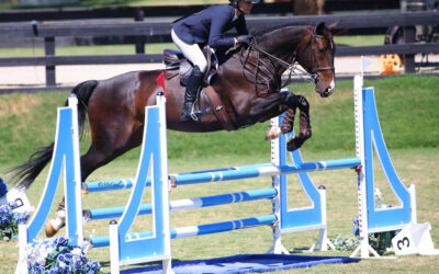 Anne Sherwood Shines In Inaugural USHJA 3’3” Adult Jumping Seat Medal Finals – West