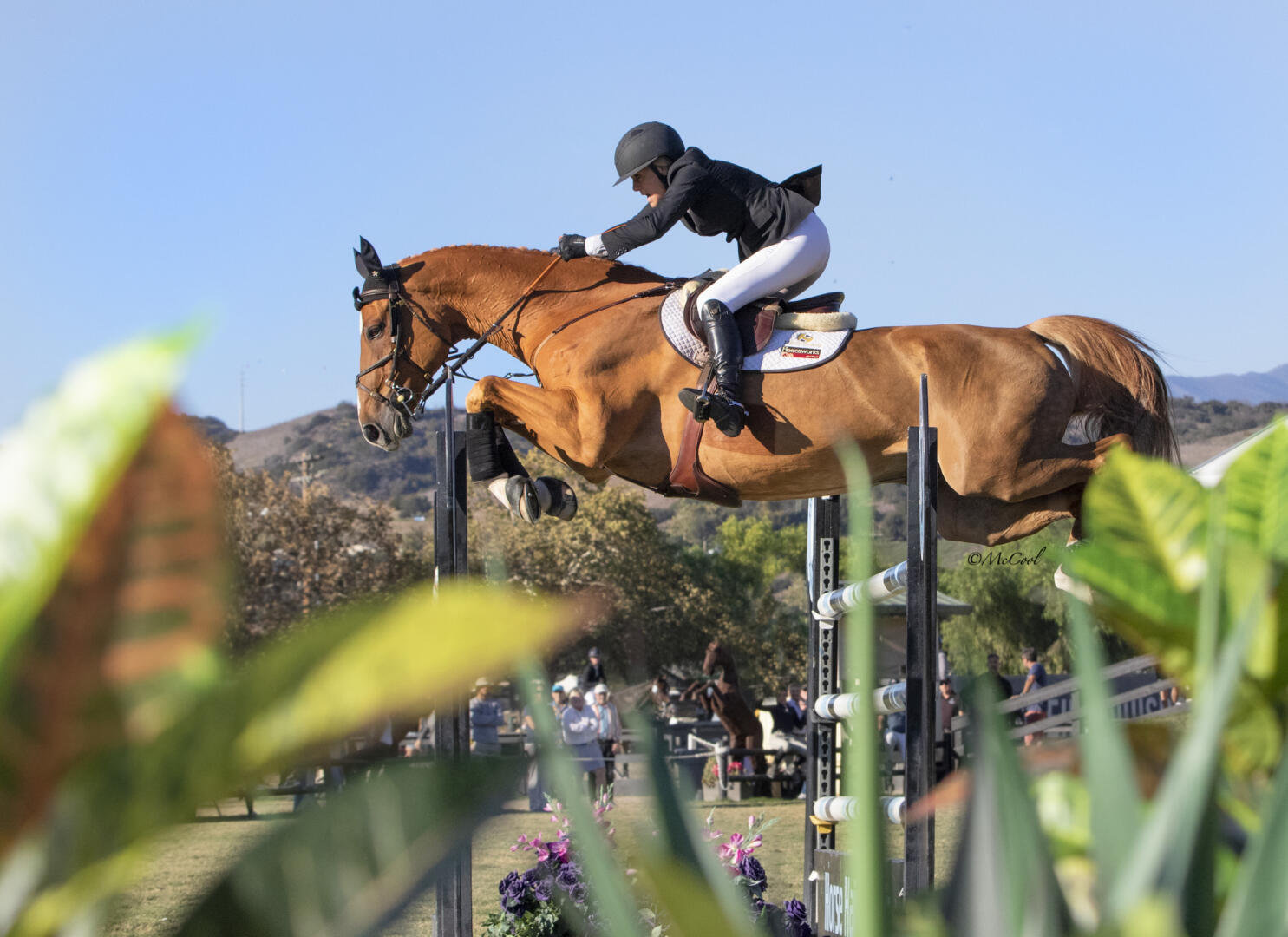 Joie Gatlin Gets the Win in 50,000 Blenheim International Jumping