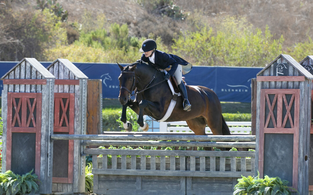 Halie Robinson and Kingston Reign in the $10,000 Blenheim EquiSports Young Hunter Championship