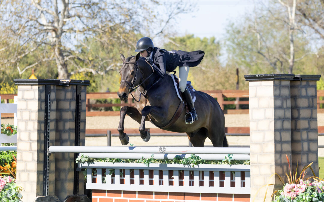 Katie Taylor Davidson Dominates in $15,000 USHJA National Hunter Derby at Blenheim Spring Classic I