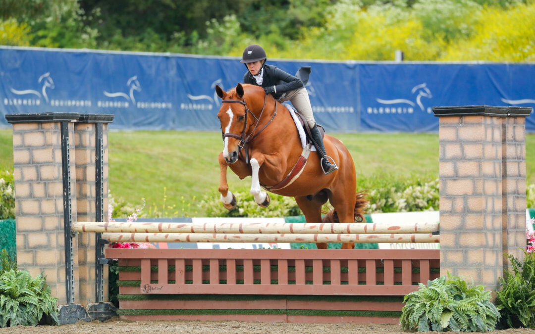 Blenheim EquiSports Welcomes PRO Series Equine as Sponsor of All-New Leading Rider Awards