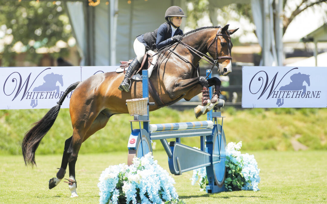 Kalea Iuliano Impresses for the Win in American Tradition of Excellence Equitation Challenge, presented by Whitethorne LLC