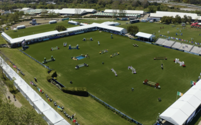 Blenheim EquiSports to Begin Improvement Plan with Footing Evaluation from DJL Equestrian Services