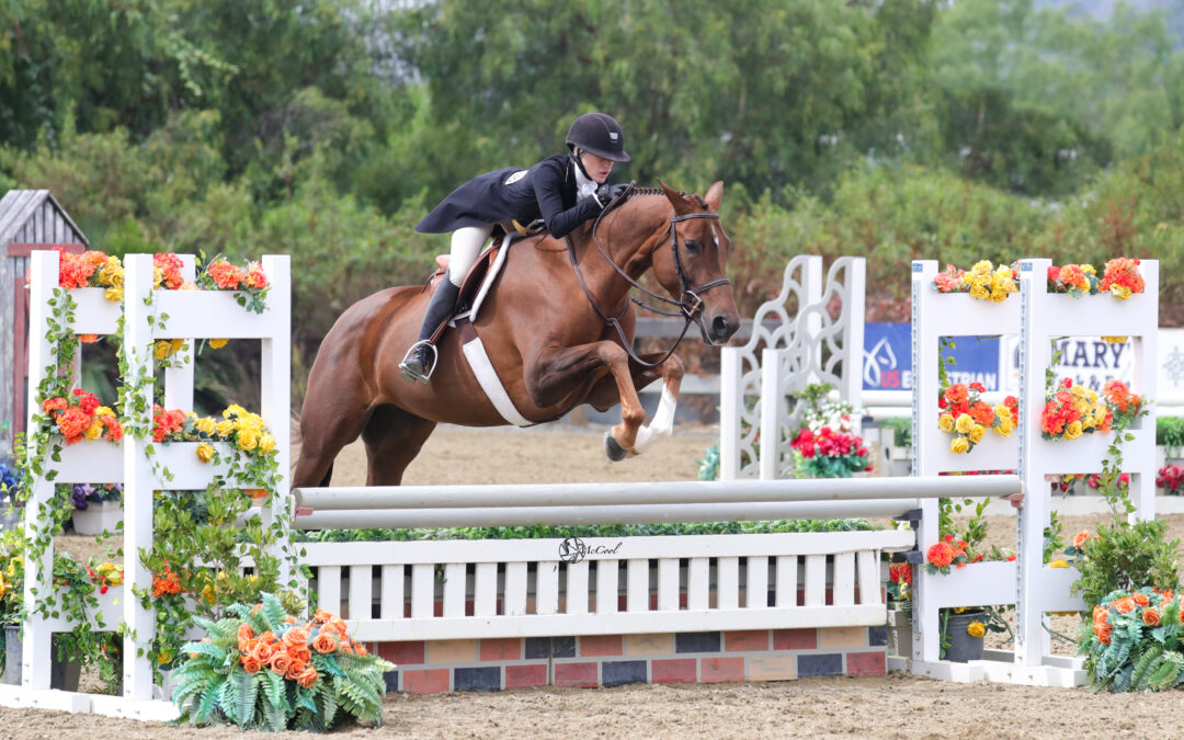 Halie Robinson and Malaiha Make Their Debut a Winning One in $10,000 Blenheim Young Hunter Championship