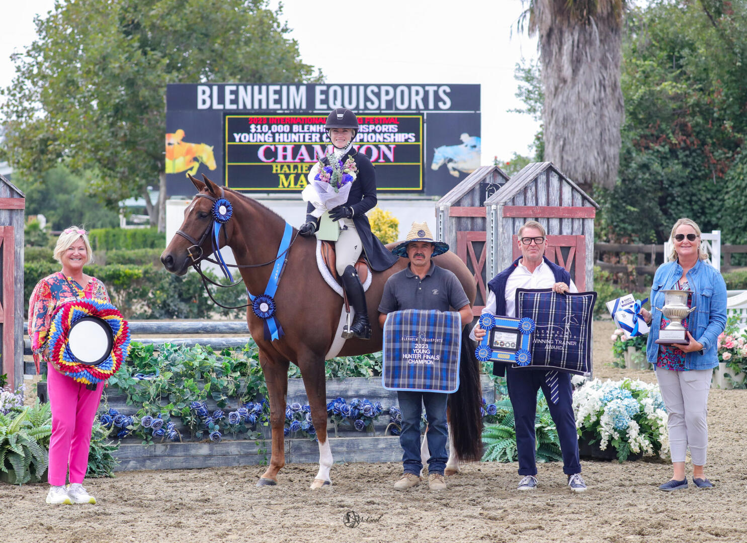 Shelby Drazan on her horses in 2014