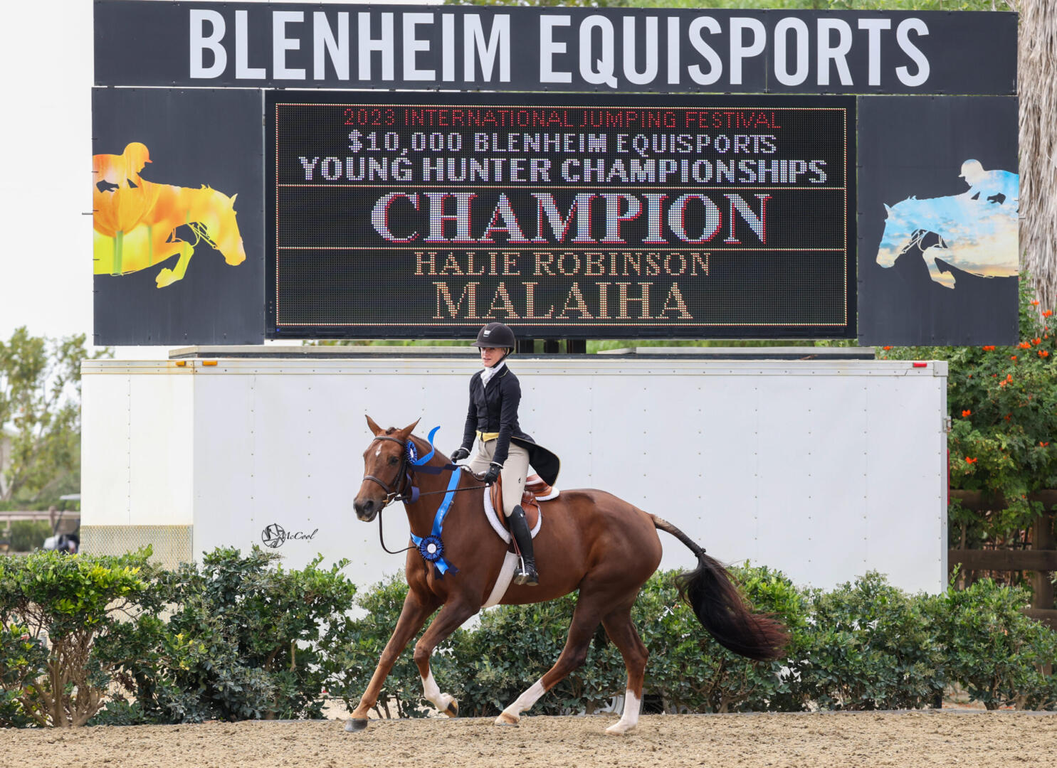 Shelby Drazan on her horses in 2014