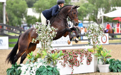 Equitation Champions Crowned at Blenheim Fall Series