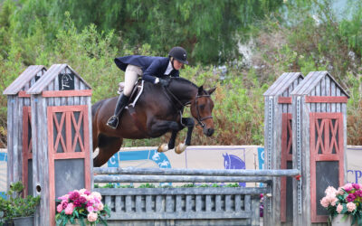 Katrina Pattinson’s and Leslie Steele’s Mounts Shine in CPHA West Coast Green Hunter Incentive Championships