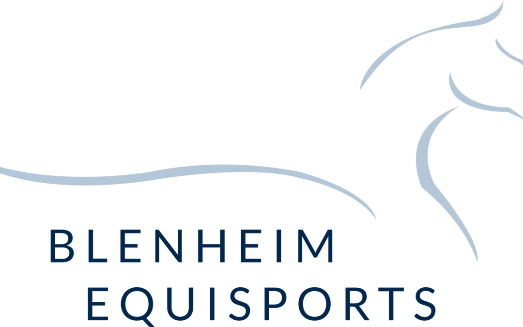 Blenheim EquiSports Announces First Phase of Facility Upgrades at The Riding Park
