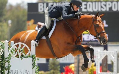 $260,000 in Hunter Prize Money and More Hunter Highlights Headed to Blenheim EquiSports This Spring