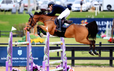 Second Week’s the Charm for Conor Swail and Count Me In in $117,000 CSI3* Blenheim Spring Classic II Grand Prix