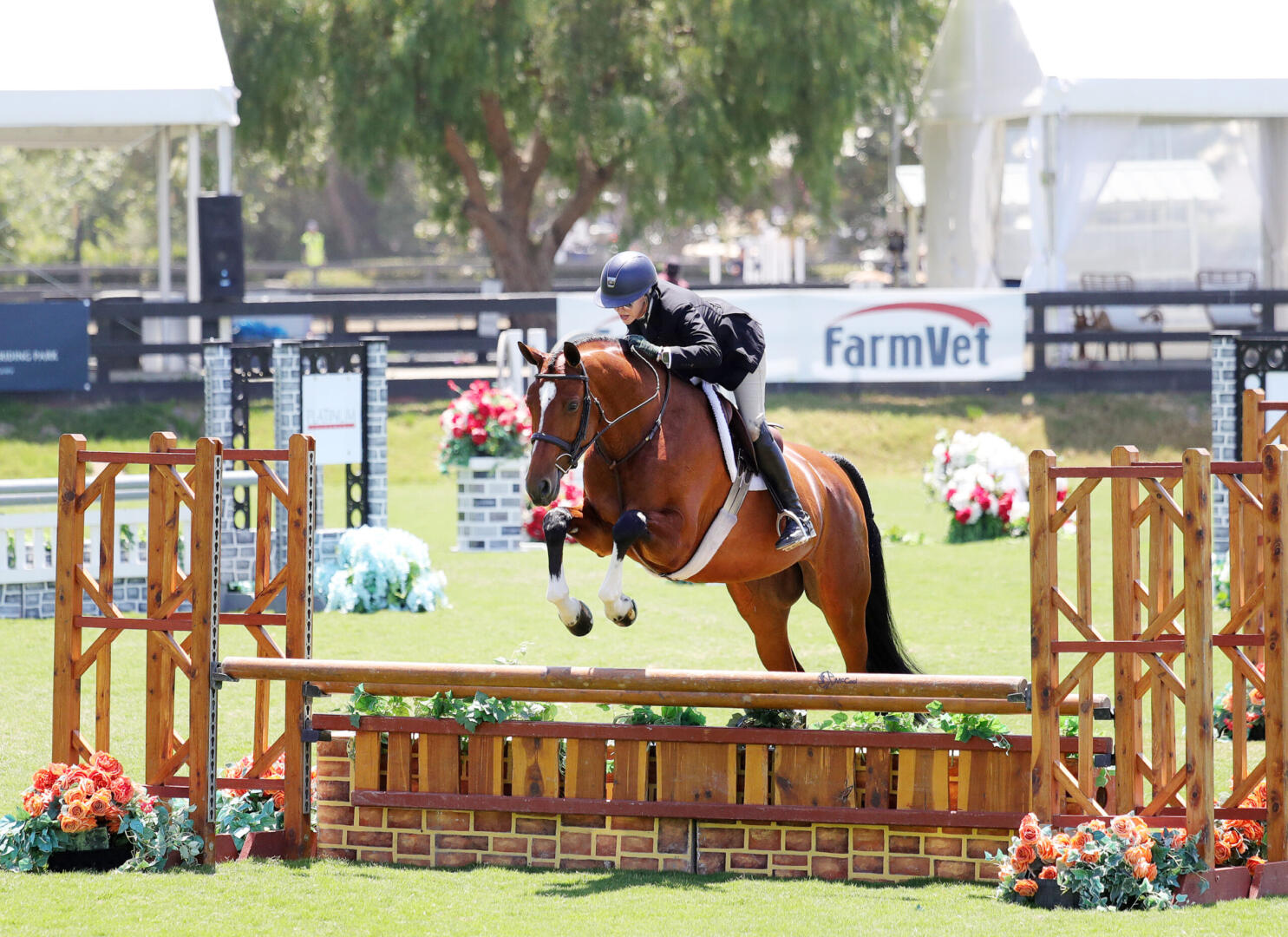 Shelby Drazan on her horses in 2014