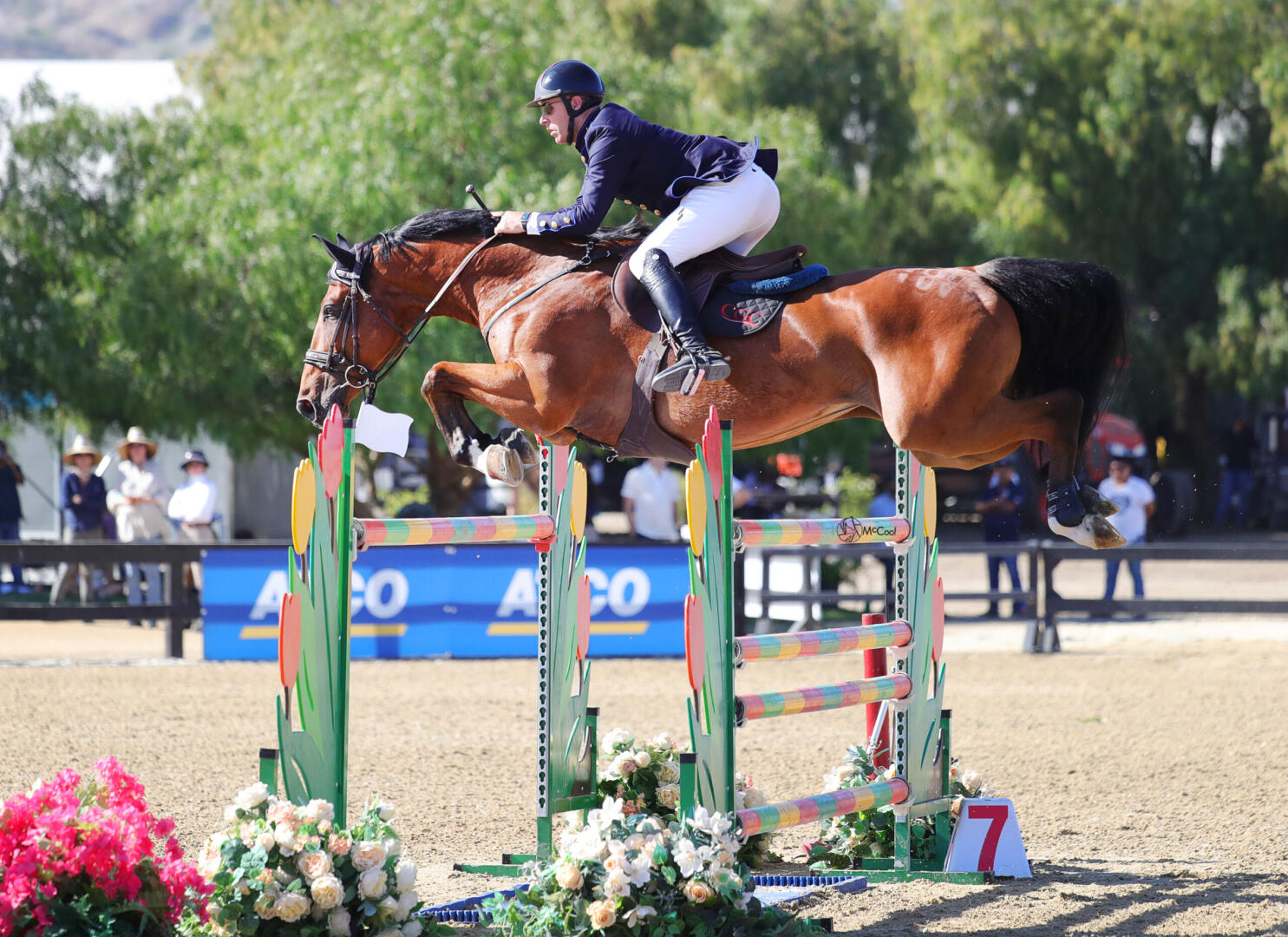 Shelby Drazan on her horses in 2014