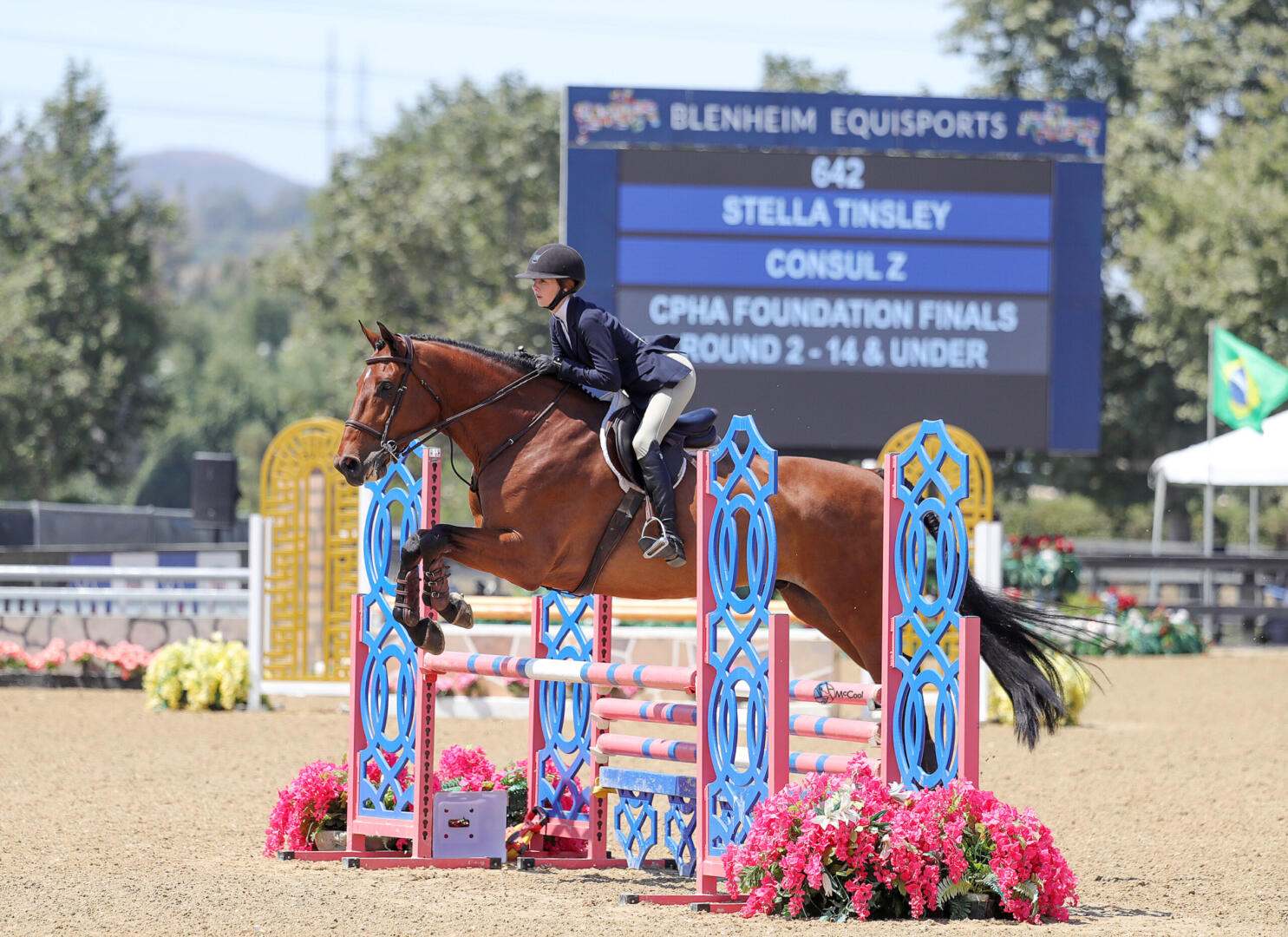 Shelby Drazan on her horses in 2014