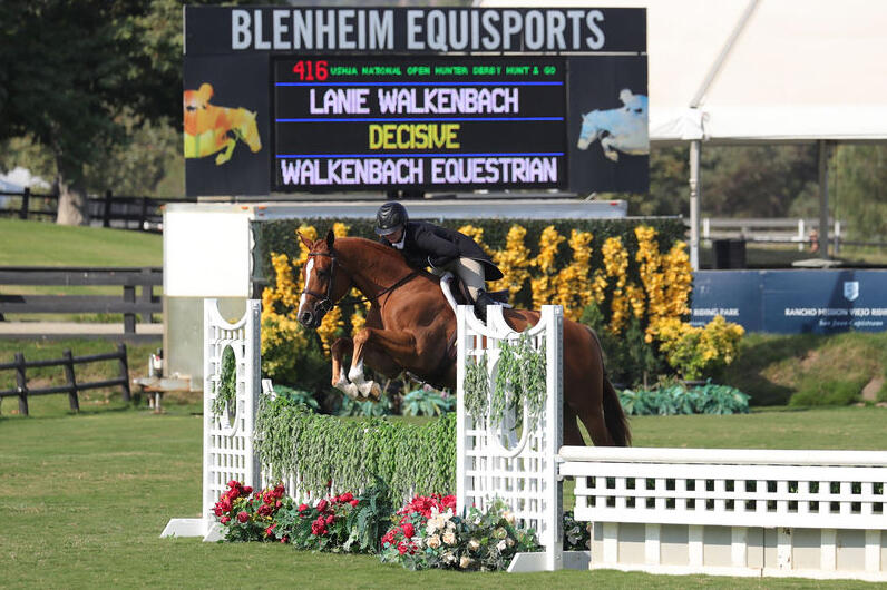 Shelby Drazan on her horses in 2014