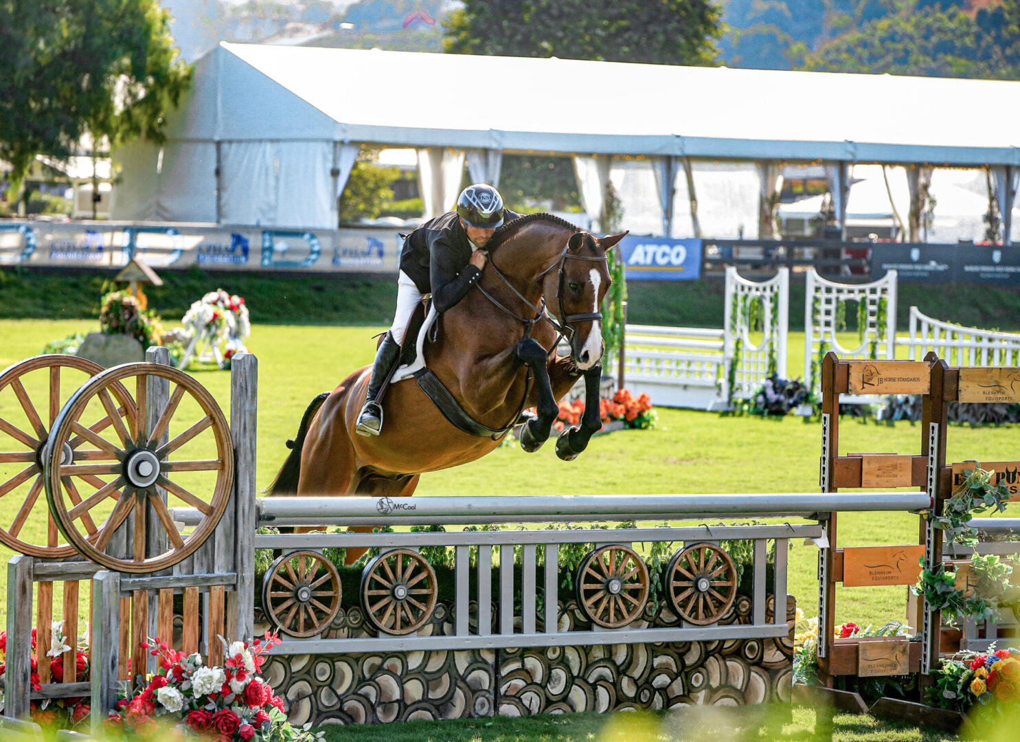 Shelby Drazan on her horses in 2014