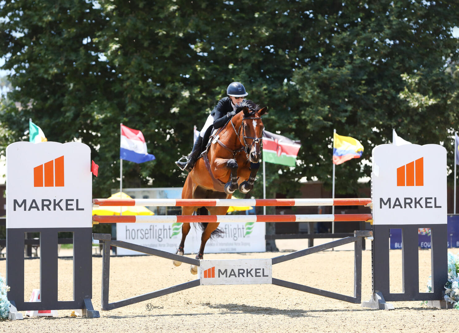 Shelby Drazan on her horses in 2014