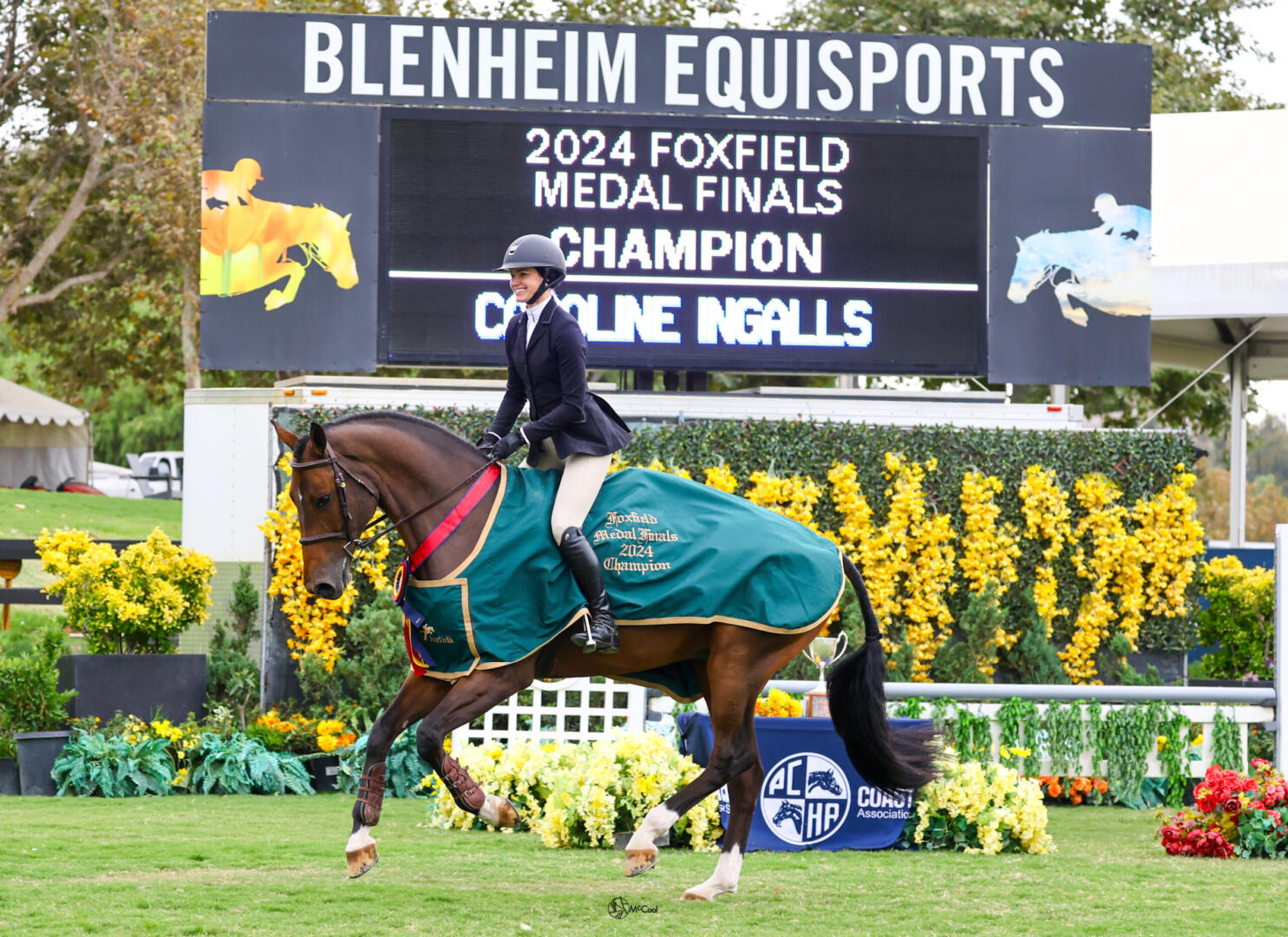 Shelby Drazan on her horses in 2014