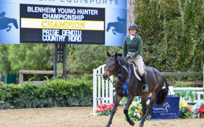 Paige Dendiu Takes Country Road to the Top in $10,000 Blenheim Young Hunter Championship