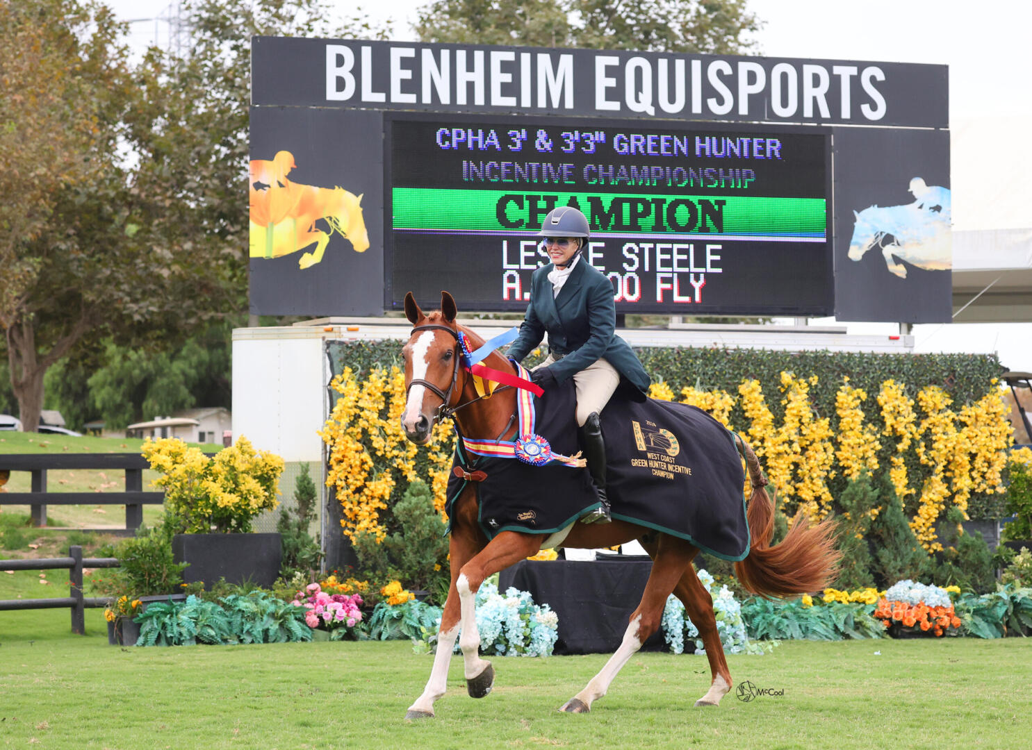 Shelby Drazan on her horses in 2014